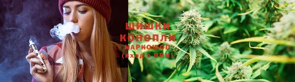 гашик Алексин
