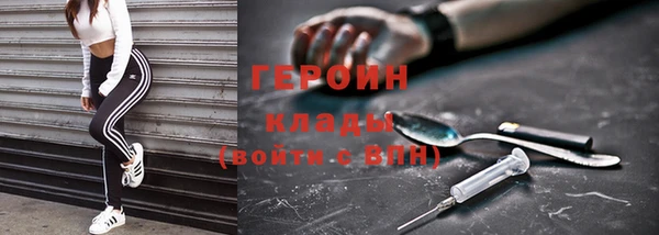 гашик Алексин