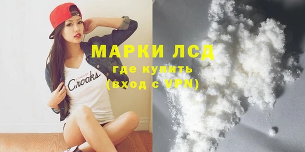гашик Алексин