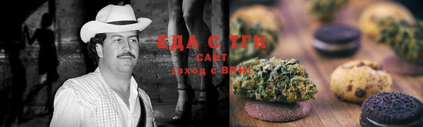 гашик Алексин