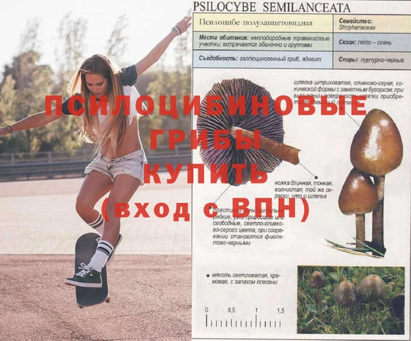 круглые Алексеевка