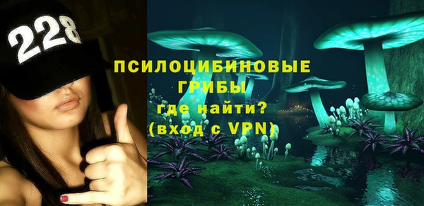 прущие крисы Корсаков