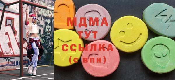 гашик Алексин