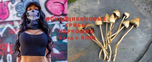 первитин Абинск